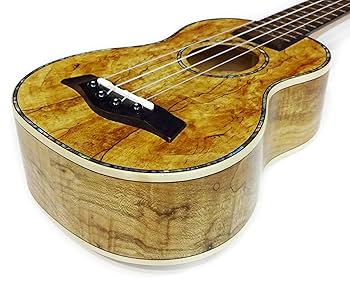 新品　⑩スポルテッドメイプルウクレレ　ソプラノサイズ Amazon.co.jp: BONDI UKULELES スポルテッド メイプル材